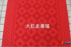 淄博大红走廊毯